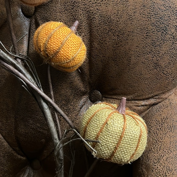 Pumpkin patch flexible wire decor for mantle or wreath - Picture 3 of 6